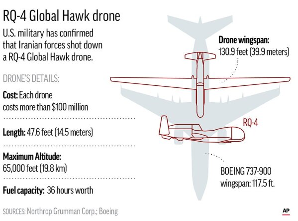 Hawk takes down drone deals